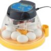 10 Egg Incubator